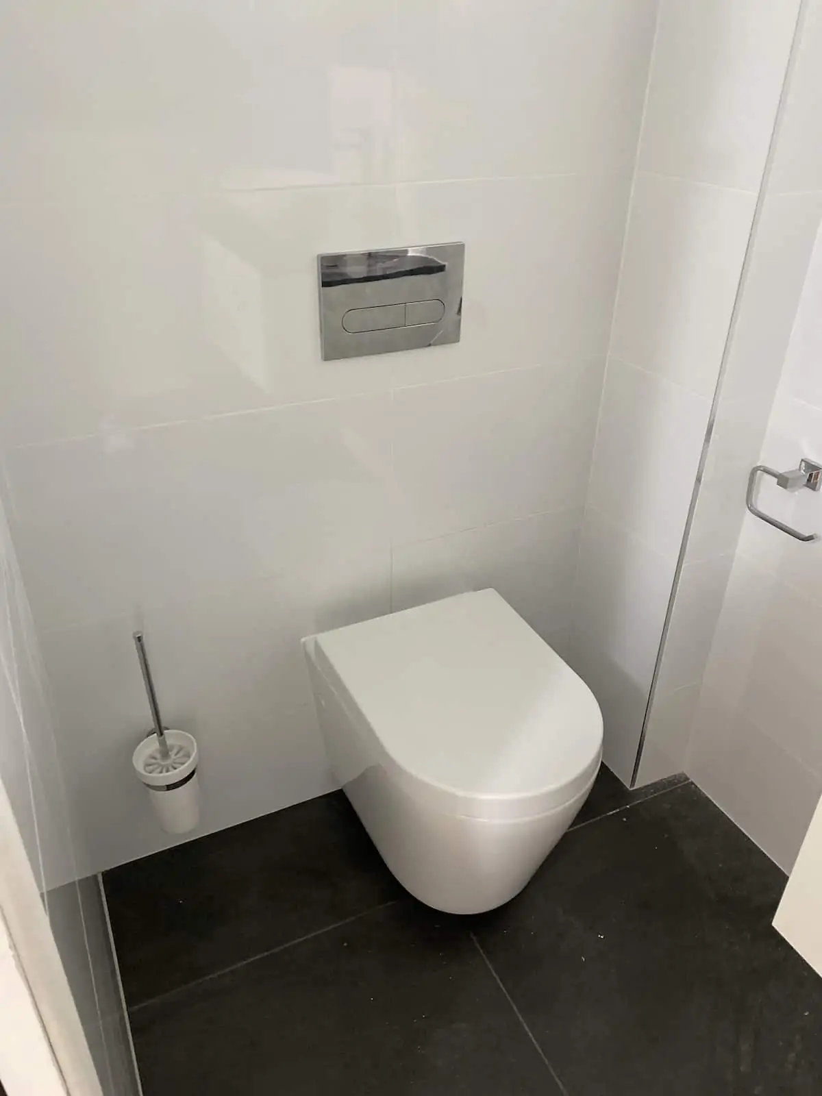single toilet as part of bathroom renovations